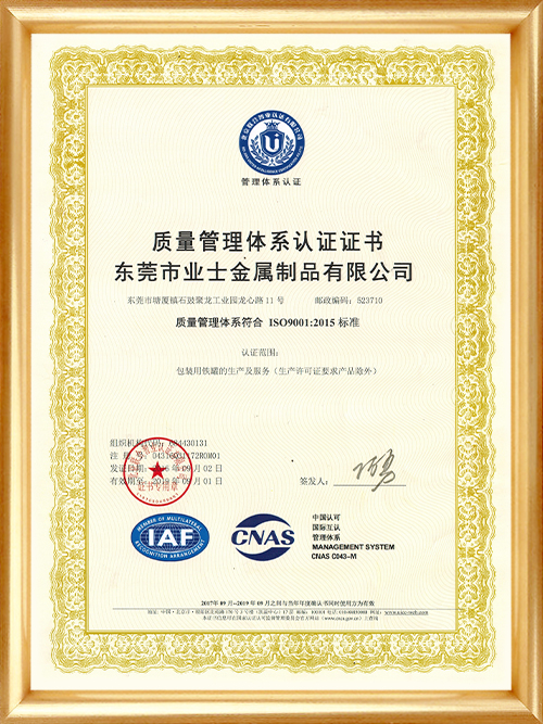 ISO9001质量管理体系认证证书-中文